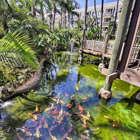 Charming Oceanside Condo With Beach And Pool Access! 外观 照片