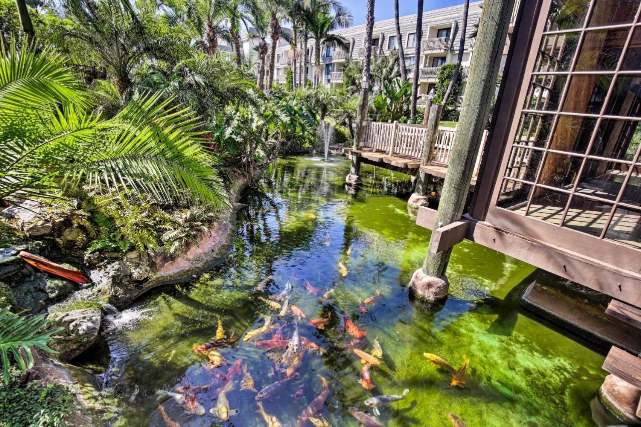 Charming Oceanside Condo With Beach And Pool Access! 外观 照片